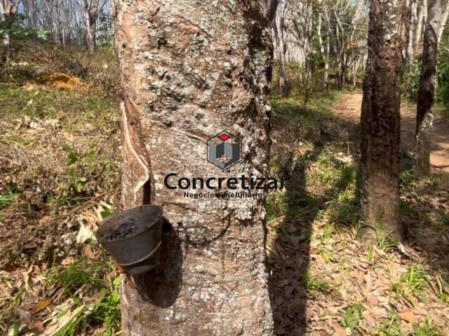 #FA00001 - Fazenda para Venda em Guarapari - ES - 1