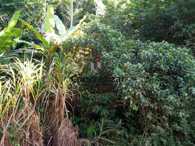 Terreno para Venda em Domingos Martins - 4