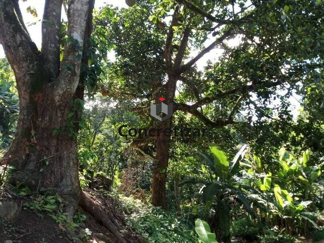 #TE00107 - Terreno para Venda em Domingos Martins - ES - 3