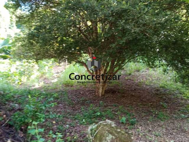 #TE00107 - Terreno para Venda em Domingos Martins - ES - 2