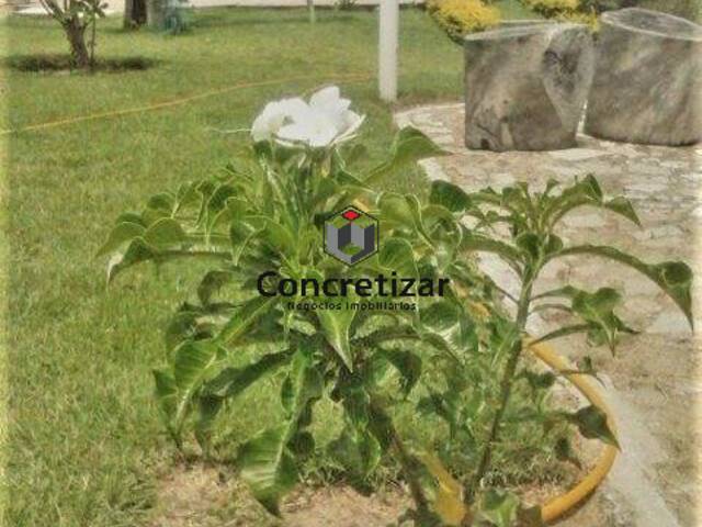 #ST00007 - Sítio para Venda em Guarapari - ES - 3