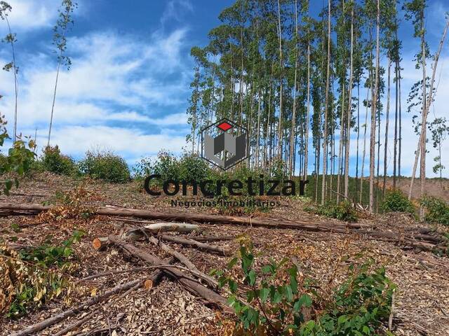 #TE00015 - Terreno para Venda em Domingos Martins - ES - 2