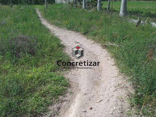 #TE00016 - Terreno para Venda em Domingos Martins - ES - 3